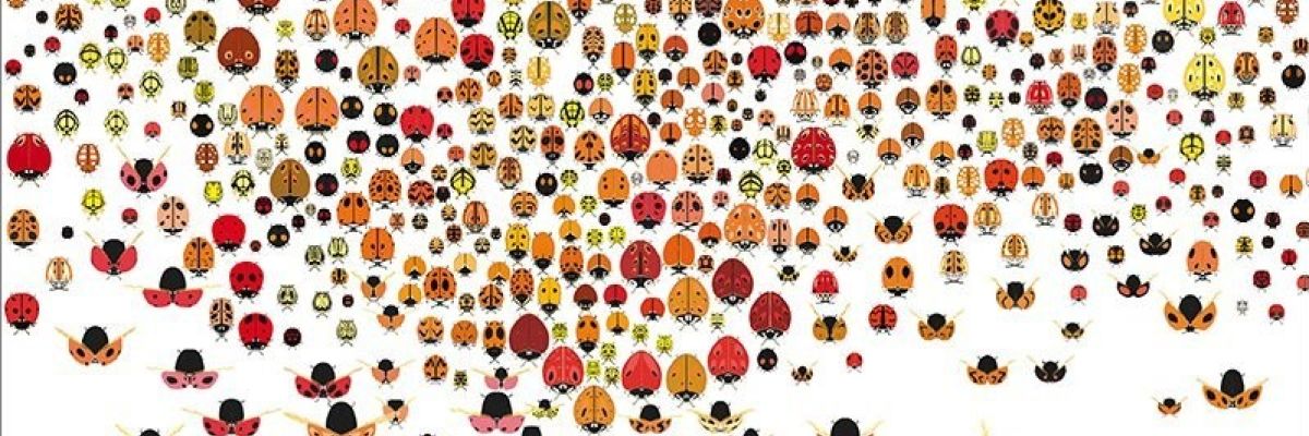 Dal Silent Book al Silent Circus.  A Como e Pavia letture animate e giochi per tutti durante Bookcity 2025