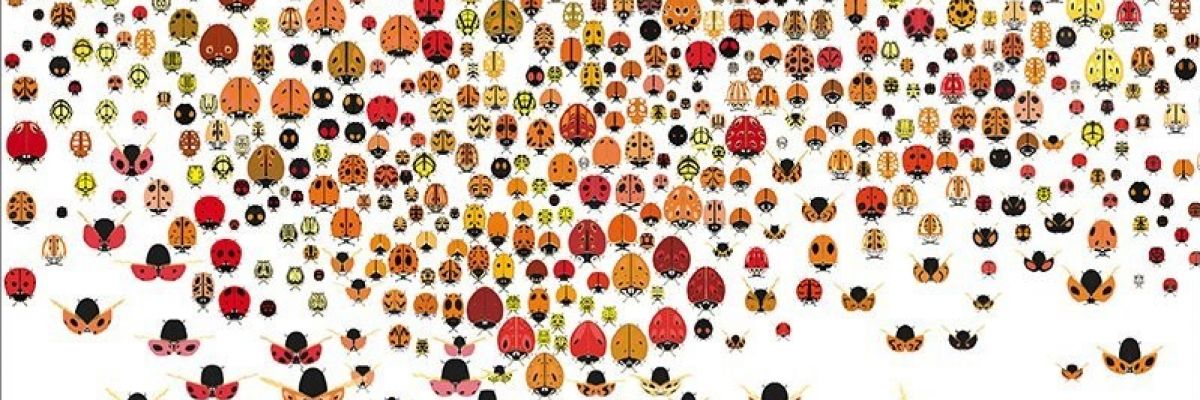 Dal Silent Book al Silent Circus.  A Como e Pavia letture animate e giochi per tutti durante Bookcity 2025