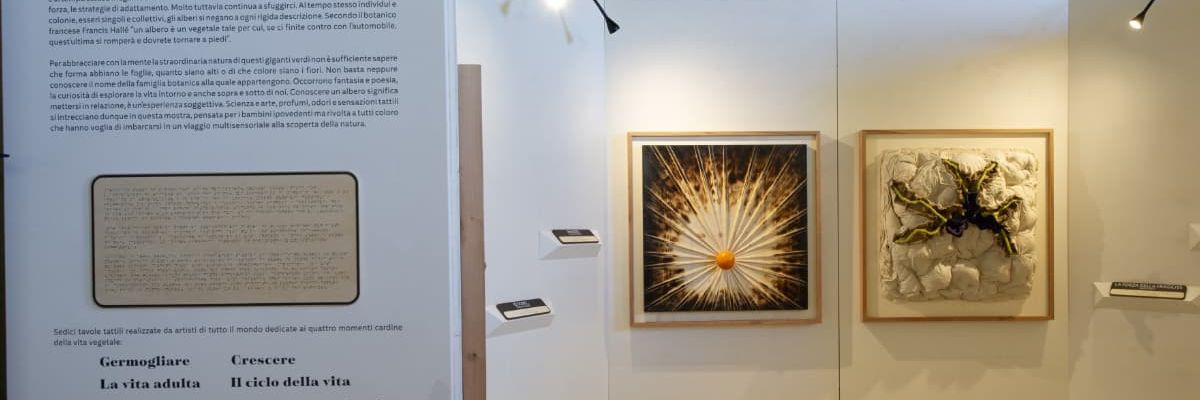 La mostra "Storie sulle dita: Alberi" allo SPAZIO PRESENTE di Ancona