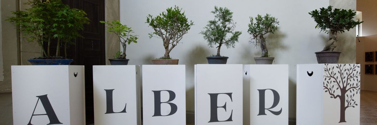 Al Palazzo Chigi di Ariccia (RM) due settimane di eventi, laboratori e incontri intorno alla mostra “Storie sulle dita - ALBERI”