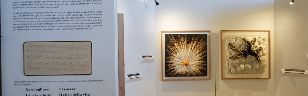 La mostra "Storie sulle dita: Alberi" allo SPAZIO PRESENTE di Ancona