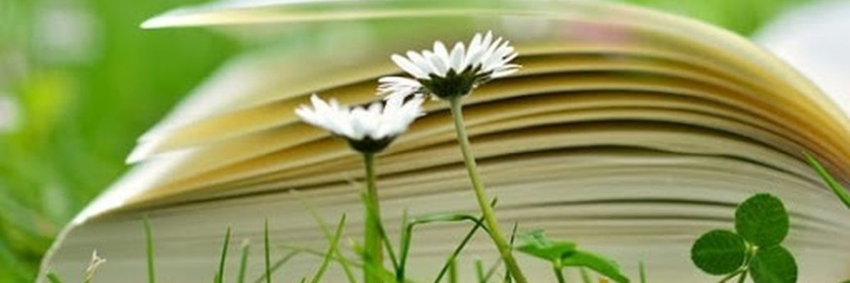 La quattordicesima edizione di Un Prato di Libri e gli eventi accessibili