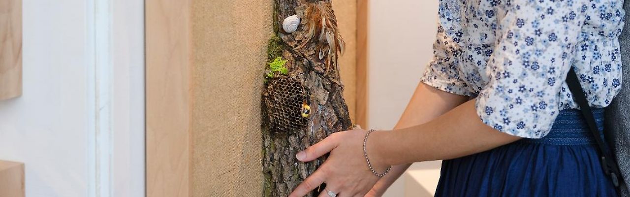 “Storie sulle dita: Alberi” arriva in Val d’Orcia!